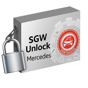 Разблокировка Security Gateway Mercedes (SGW) 11516 фото